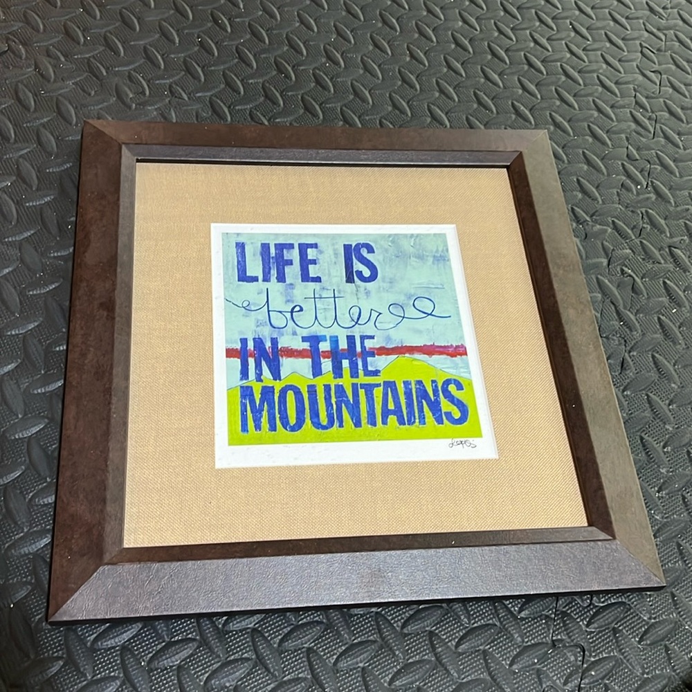 Life is better in the mountains framed art